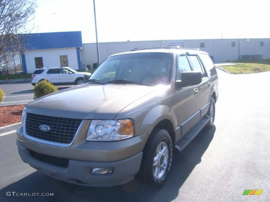 2003 Expedition XLT - Arizona Beige Metallic / Medium Parchment photo #1