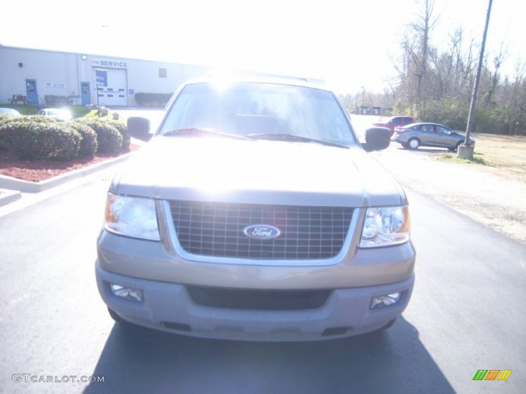2003 Expedition XLT - Arizona Beige Metallic / Medium Parchment photo #2