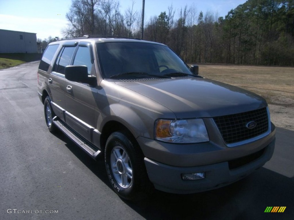 2003 Expedition XLT - Arizona Beige Metallic / Medium Parchment photo #3