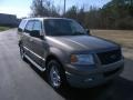 Arizona Beige Metallic - Expedition XLT Photo No. 3