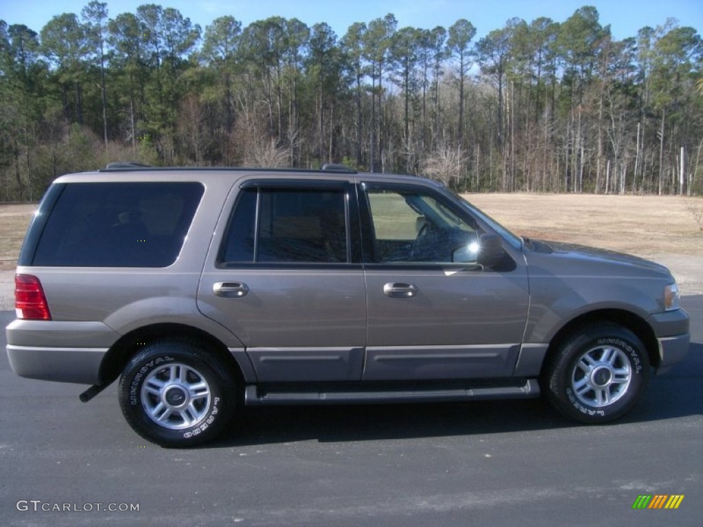 2003 Expedition XLT - Arizona Beige Metallic / Medium Parchment photo #4