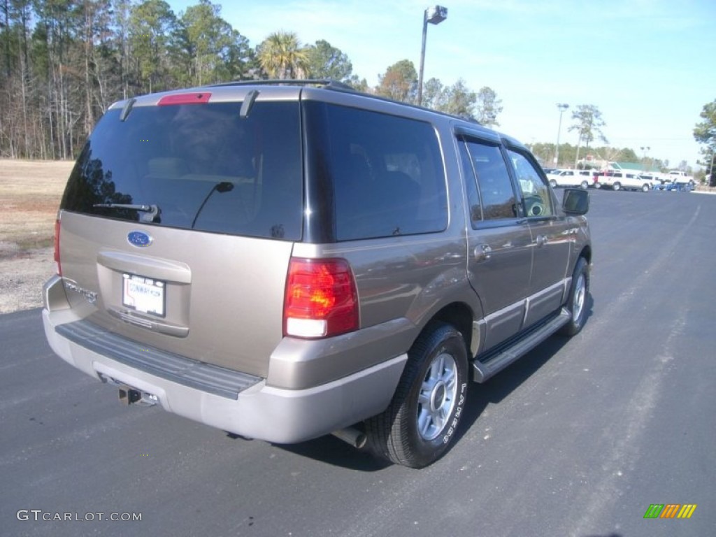 2003 Expedition XLT - Arizona Beige Metallic / Medium Parchment photo #5