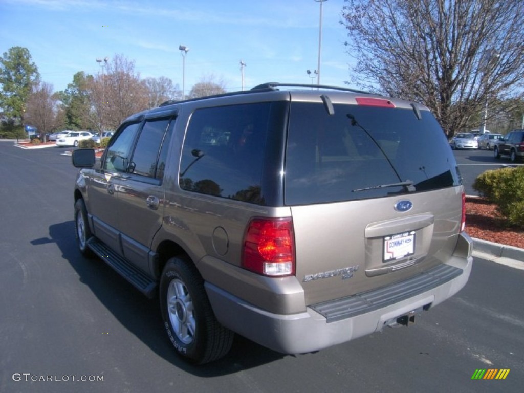 2003 Expedition XLT - Arizona Beige Metallic / Medium Parchment photo #7