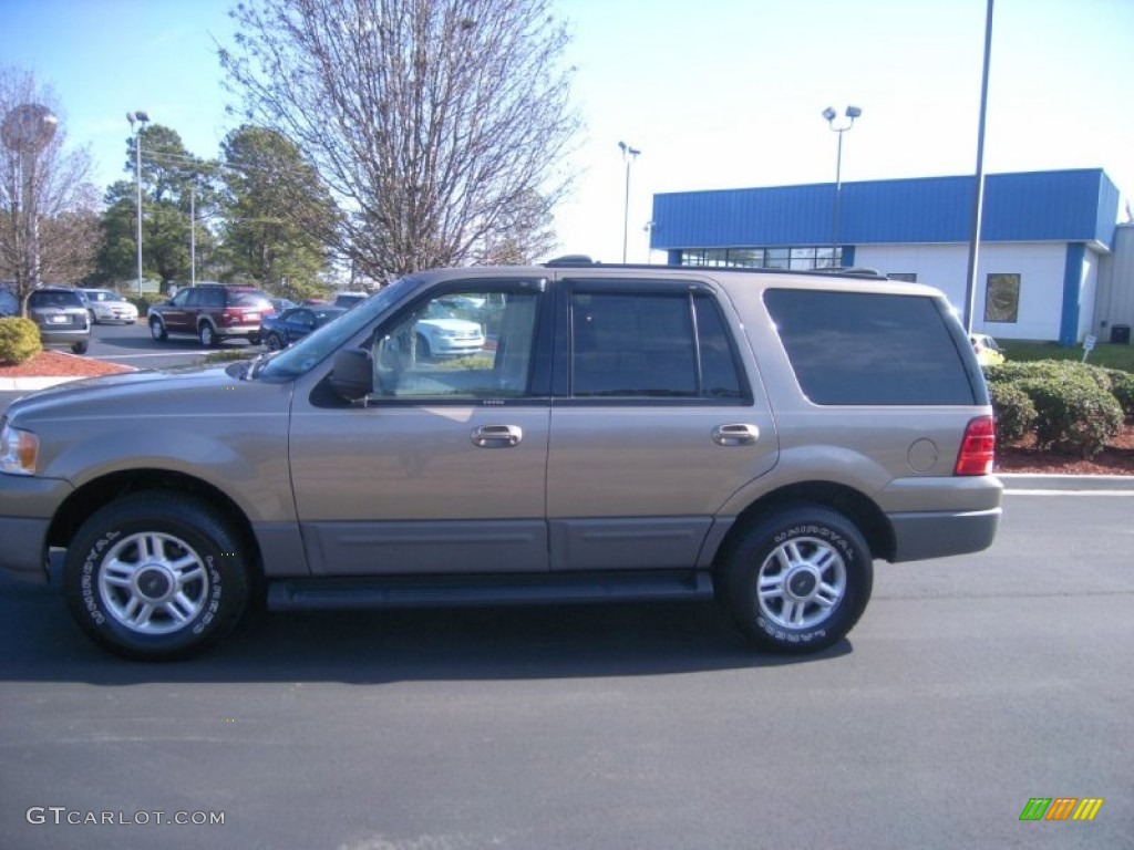 2003 Expedition XLT - Arizona Beige Metallic / Medium Parchment photo #8