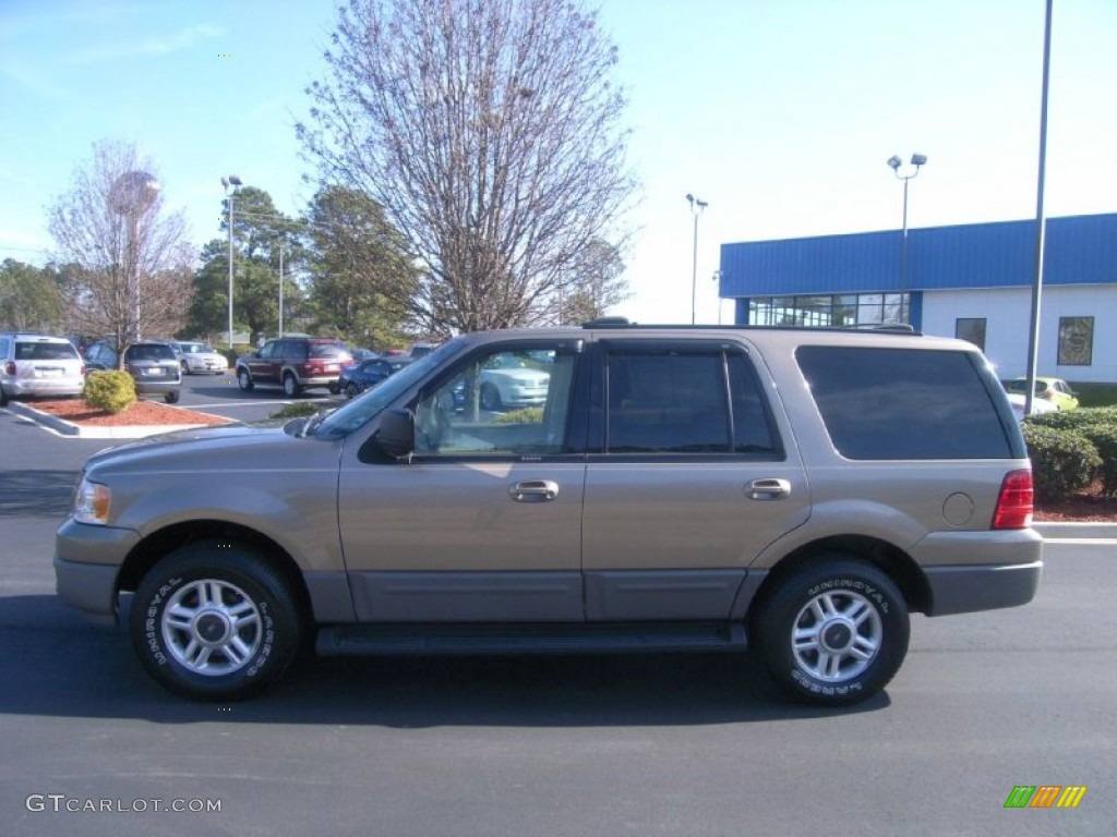 2003 Expedition XLT - Arizona Beige Metallic / Medium Parchment photo #9