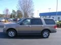 Arizona Beige Metallic - Expedition XLT Photo No. 9