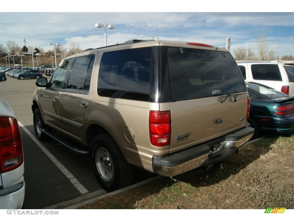 1999 Expedition Eddie Bauer 4x4 - Harvest Gold Metallic / Medium Prairie Tan photo #3