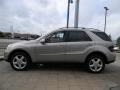 Pewter Metallic - ML 320 CDI 4Matic Photo No. 9