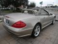 Desert Silver Metallic - SL 500 Roadster Photo No. 5