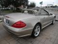 2005 Desert Silver Metallic Mercedes-Benz SL 500 Roadster  photo #5