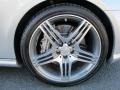2009 Mercedes-Benz CLS 63 AMG Wheel and Tire Photo