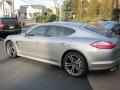 Platinum Silver Metallic - Panamera 4S Photo No. 12