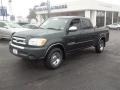 2006 Timberland Mica Toyota Tundra SR5 Double Cab  photo #9