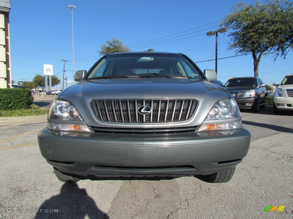 2000 RX 300 - Mineral Green / Ivory photo #6