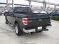 Black - F150 XLT SuperCab Photo No. 3