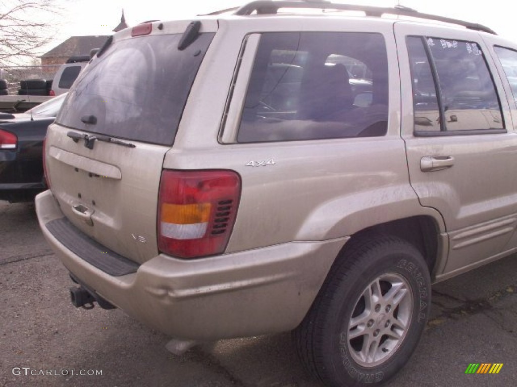 2000 Grand Cherokee Limited 4x4 - Champagne Pearlcoat / Camel photo #3