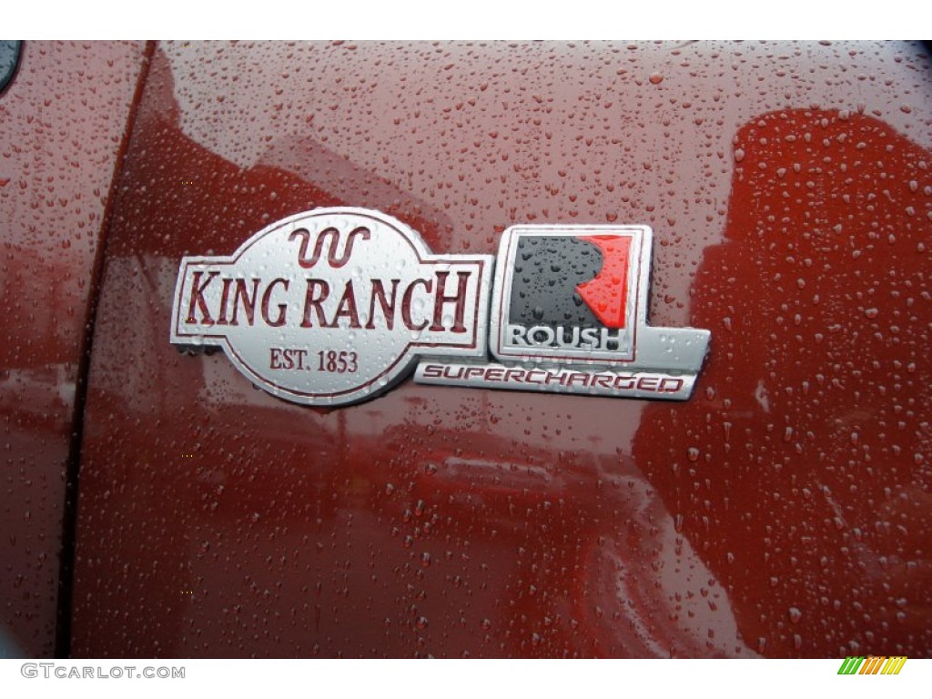 2005 Ford F150 King Ranch SuperCrew 4x4 Marks and Logos Photo #60015621