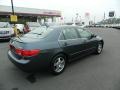 2005 Graphite Pearl Honda Accord Hybrid Sedan  photo #6