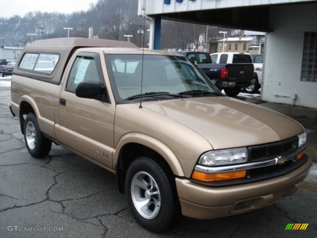 Sunset Gold Metallic 2000 Chevrolet S10 LS Regular Cab Exterior Photo #60020105