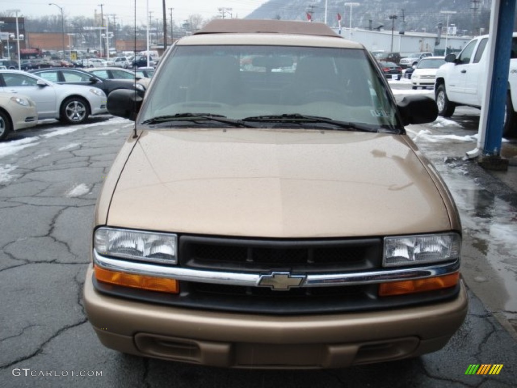 2000 S10 LS Regular Cab - Sunset Gold Metallic / Beige photo #3