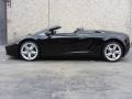 2008 Nero Noctis (Black) Lamborghini Gallardo Spyder  photo #3