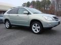 Bamboo Green Pearl - RX 350 AWD Photo No. 2