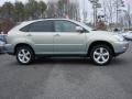 Bamboo Green Pearl - RX 350 AWD Photo No. 3