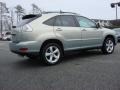 Bamboo Green Pearl - RX 350 AWD Photo No. 4