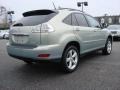Bamboo Green Pearl - RX 350 AWD Photo No. 5