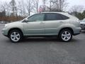 Bamboo Green Pearl - RX 350 AWD Photo No. 7