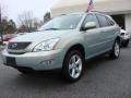 Bamboo Green Pearl - RX 350 AWD Photo No. 8