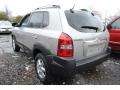 Sahara Silver - Tucson GLS V6 4WD Photo No. 2