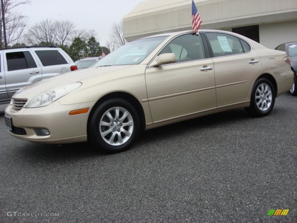 2004 ES 330 - Mystic Gold Metallic / Ivory photo #6