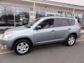 Everglade Metallic - RAV4 4WD Photo No. 2