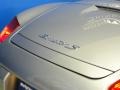 GT Silver Metallic - Boxster RS 60 Spyder Photo No. 25