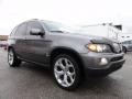 2006 Sterling Grey Metallic BMW X5 4.4i  photo #5