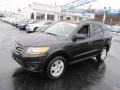 2010 Phantom Black Metallic Hyundai Santa Fe GLS 4WD  photo #5