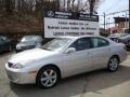 Classic Silver Metallic - ES 330 Photo No. 1