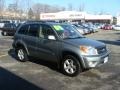 2004 Everglade Green Metallic Toyota RAV4 4WD  photo #1