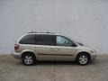 Linen Gold Metallic Pearl - Caravan SXT Photo No. 3