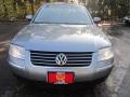 Silverstone Grey Metallic - Passat GLX 4Motion Sedan Photo No. 2