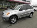 Titanium Metallic - RAV4 4WD Photo No. 15