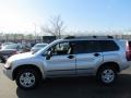 2004 Sterling Silver Metallic Mitsubishi Endeavor LS AWD  photo #4