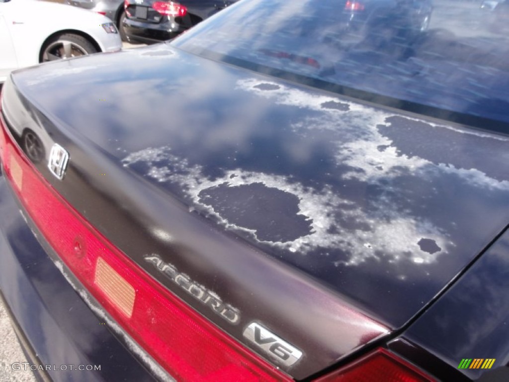 1998 Accord EX V6 Coupe - Black Currant Pearl / Charcoal photo #27