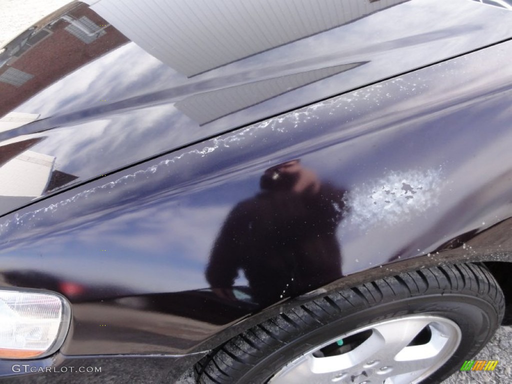 1998 Accord EX V6 Coupe - Black Currant Pearl / Charcoal photo #35