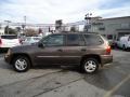 Medium Brown Metallic - Envoy SLE 4x4 Photo No. 9