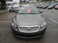 Sterling Grey - Taurus SEL Photo No. 7