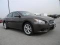 Java Metallic - Maxima 3.5 SV Photo No. 3