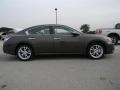 Java Metallic - Maxima 3.5 SV Photo No. 4