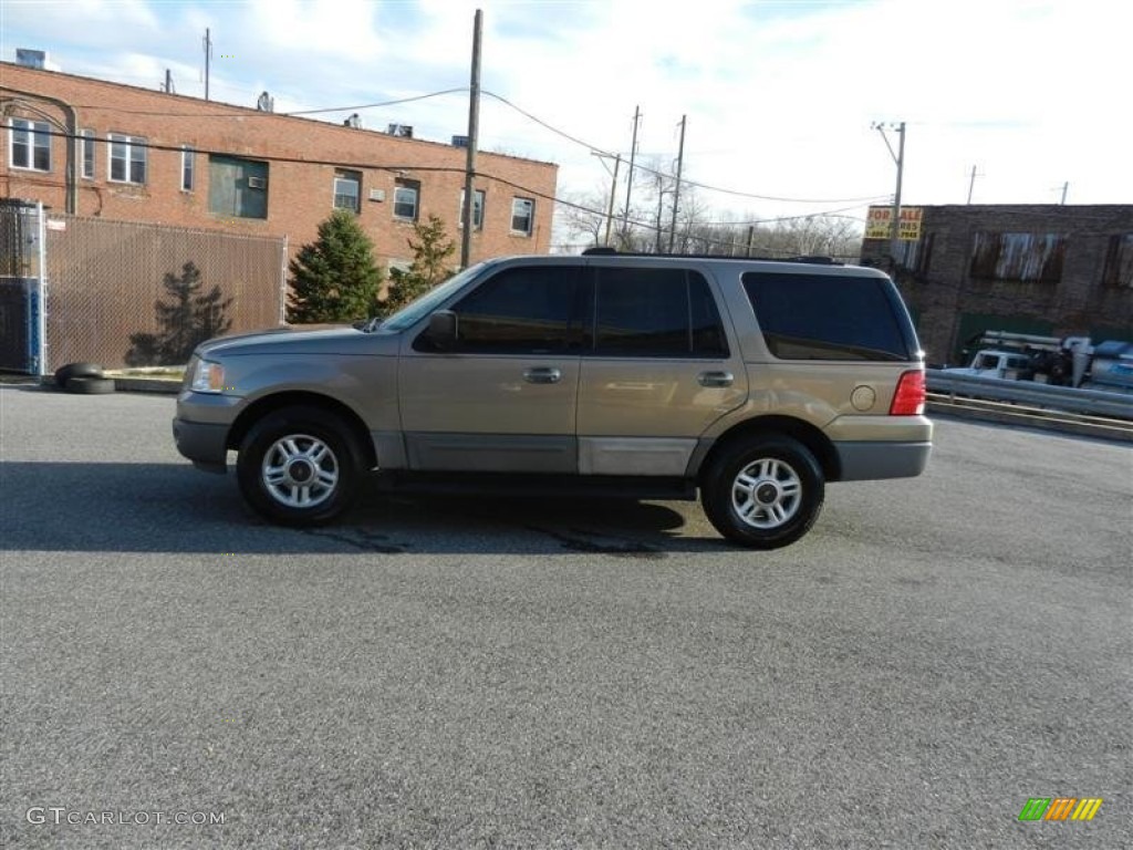 2003 Expedition XLT 4x4 - Arizona Beige Metallic / Medium Parchment photo #2